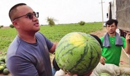 乌鲁木齐吃瓜图片