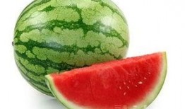 吃紫瓜好处,揭秘吃紫瓜的五大益处