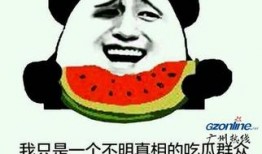 网络吃瓜群众什么意思,揭秘“吃瓜群众”背后的社会现象