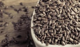 减肥可以吃捎瓜吗,健康美味两不误