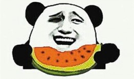 网络吃瓜群众什么意思,揭秘“吃瓜群众”背后的社会现象