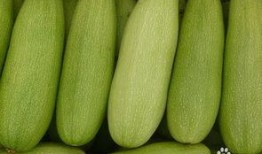 白瓜要泡水吗怎么吃,健康美味两不误