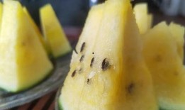 吃瓜密码本,探寻娱乐圈背后的真实故事