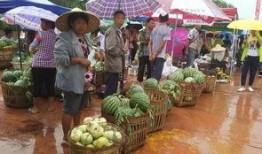 吃瓜群众荣县,吃瓜群众眼中的美食盛宴