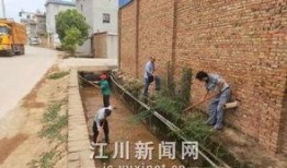 清河大街吃瓜,瓜果飘香，品味人间烟火