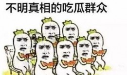 你是吃瓜群众吗,吃瓜群众视角下的娱乐圈风云