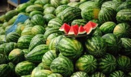 吃白沙瓜胖不,吃它真的会胖吗？