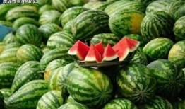 吃瓜之人,揭秘网络时代下的“吃瓜”现象