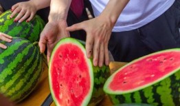 学校女的吃瓜,揭秘女大学生们的“吃瓜”世界